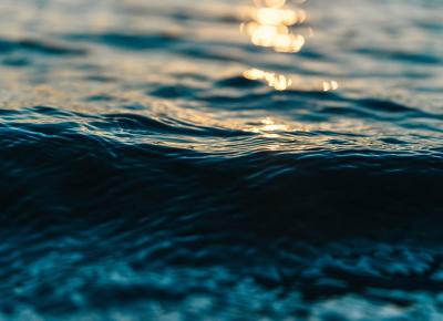Η ζωή είναι σαν τη θάλασσα, δε δίνει δεκάρα αν δεν ξέρεις κολύμπι(πηγή pixabay)