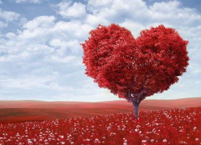 Χαλίλ Γκιμπράν: Η αγάπη δεν δίνει τίποτα παρά μόνο τον εαυτό της