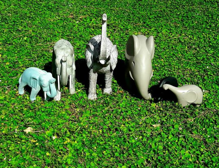 Το φενγκ σούι λατρεύει τα διακοσμητικά ελεφαντάκια!